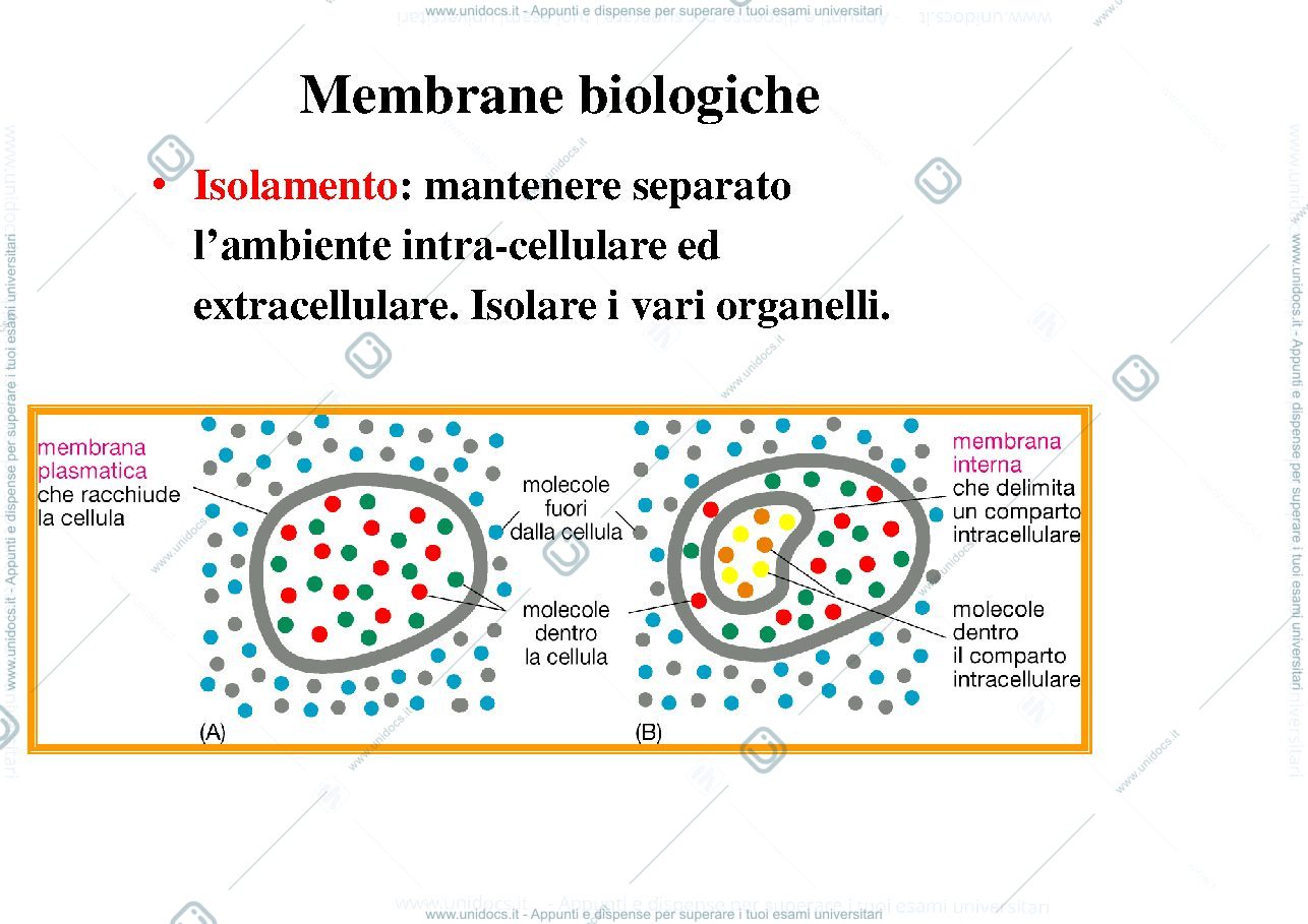 Anteprima pagina 1 — biologia 