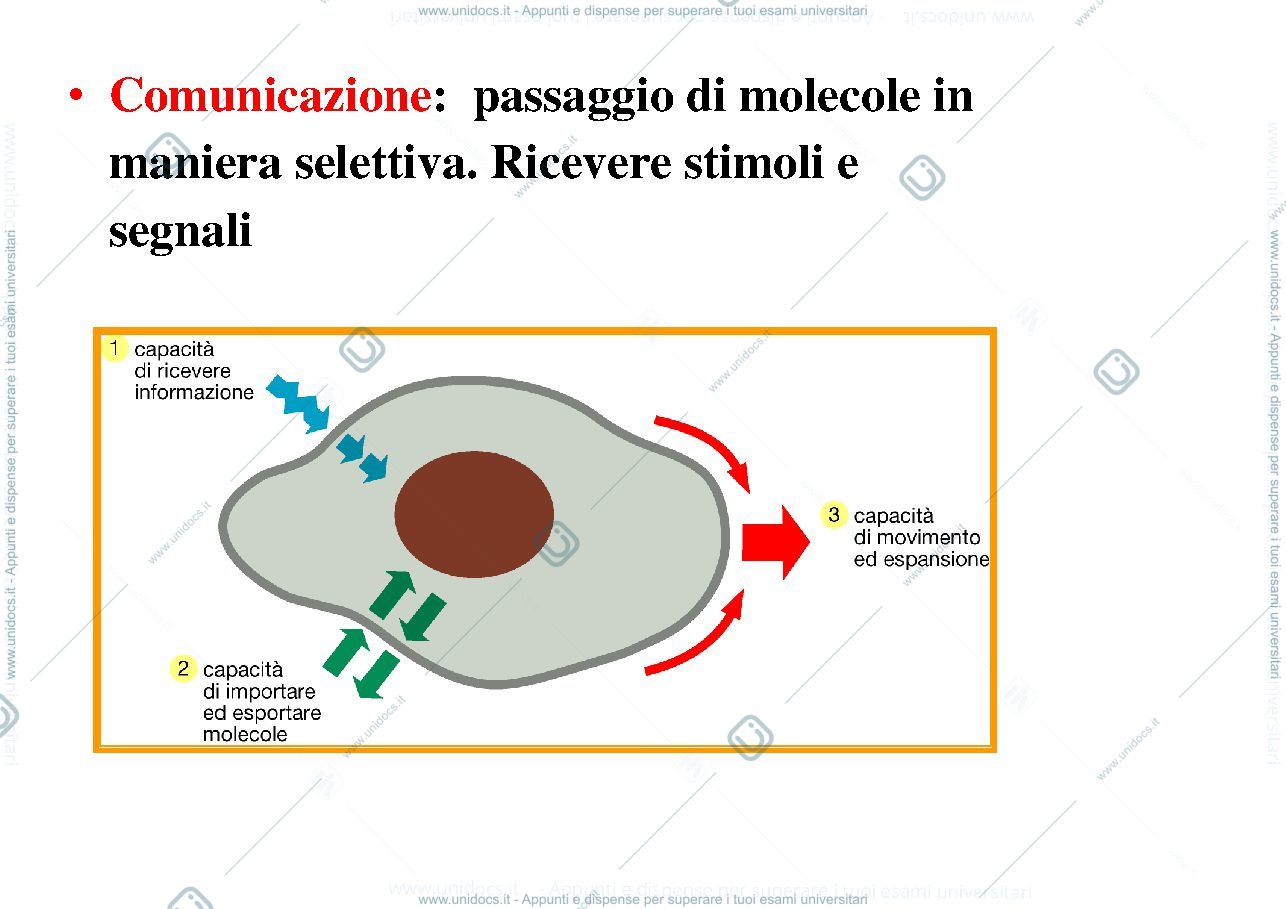Anteprima pagina 2 — biologia 