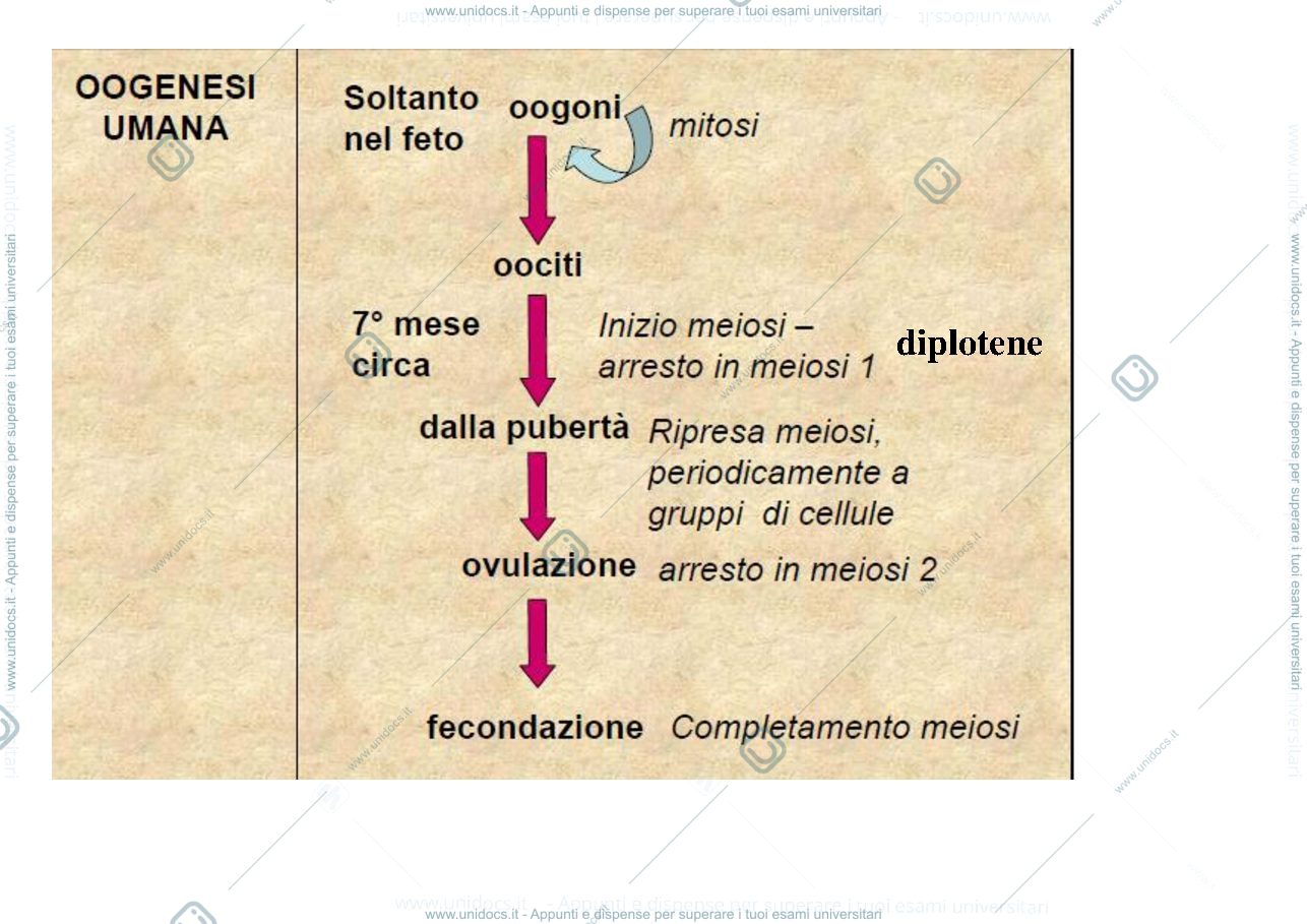 Anteprima pagina 3 — biologia
