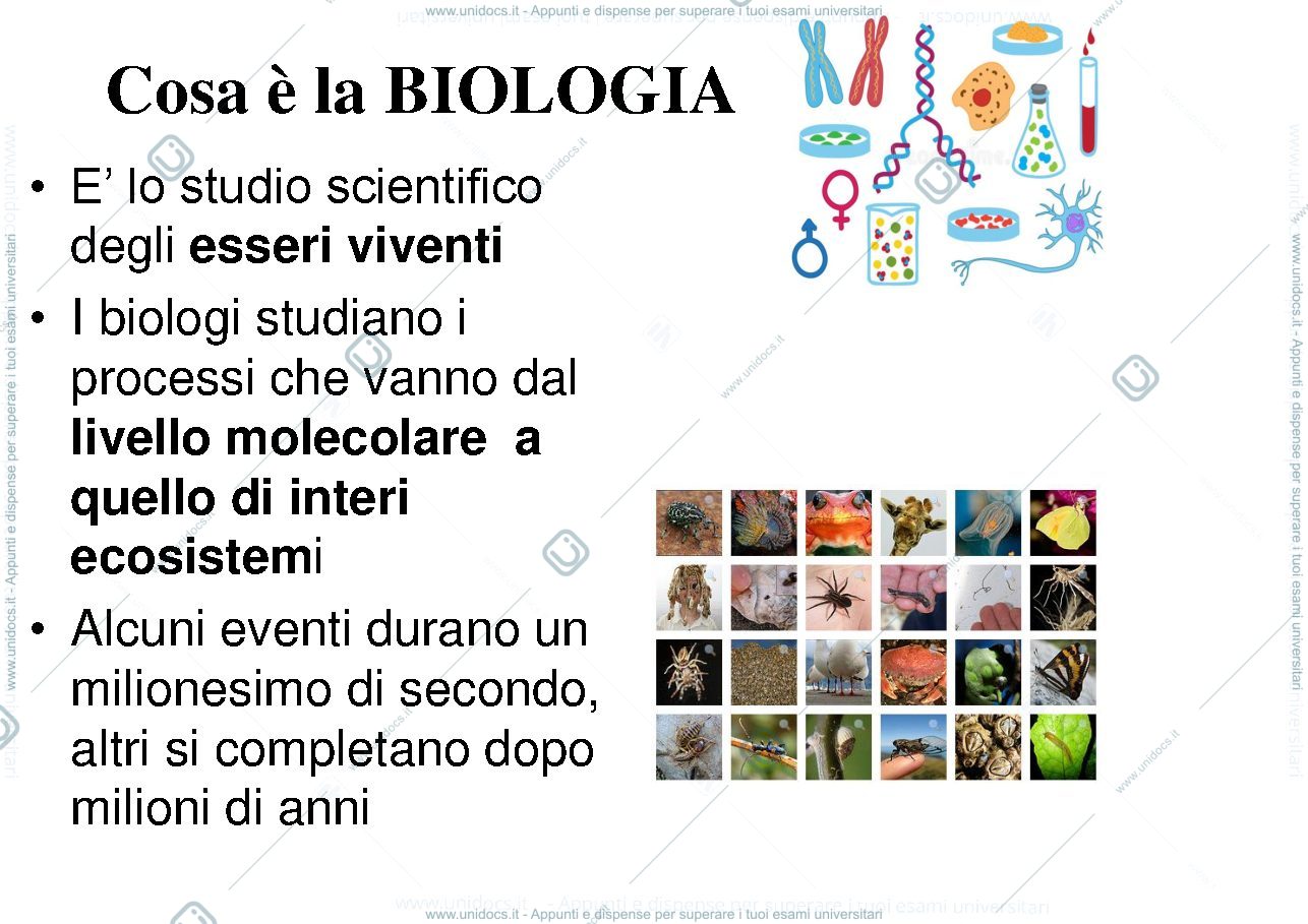 Anteprima pagina 1 — biologia