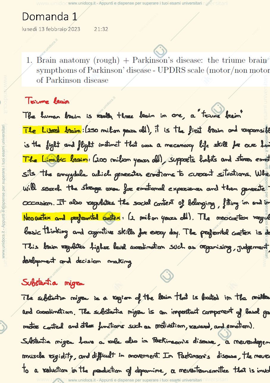 Anteprima pagina 1 — Pagana’s question