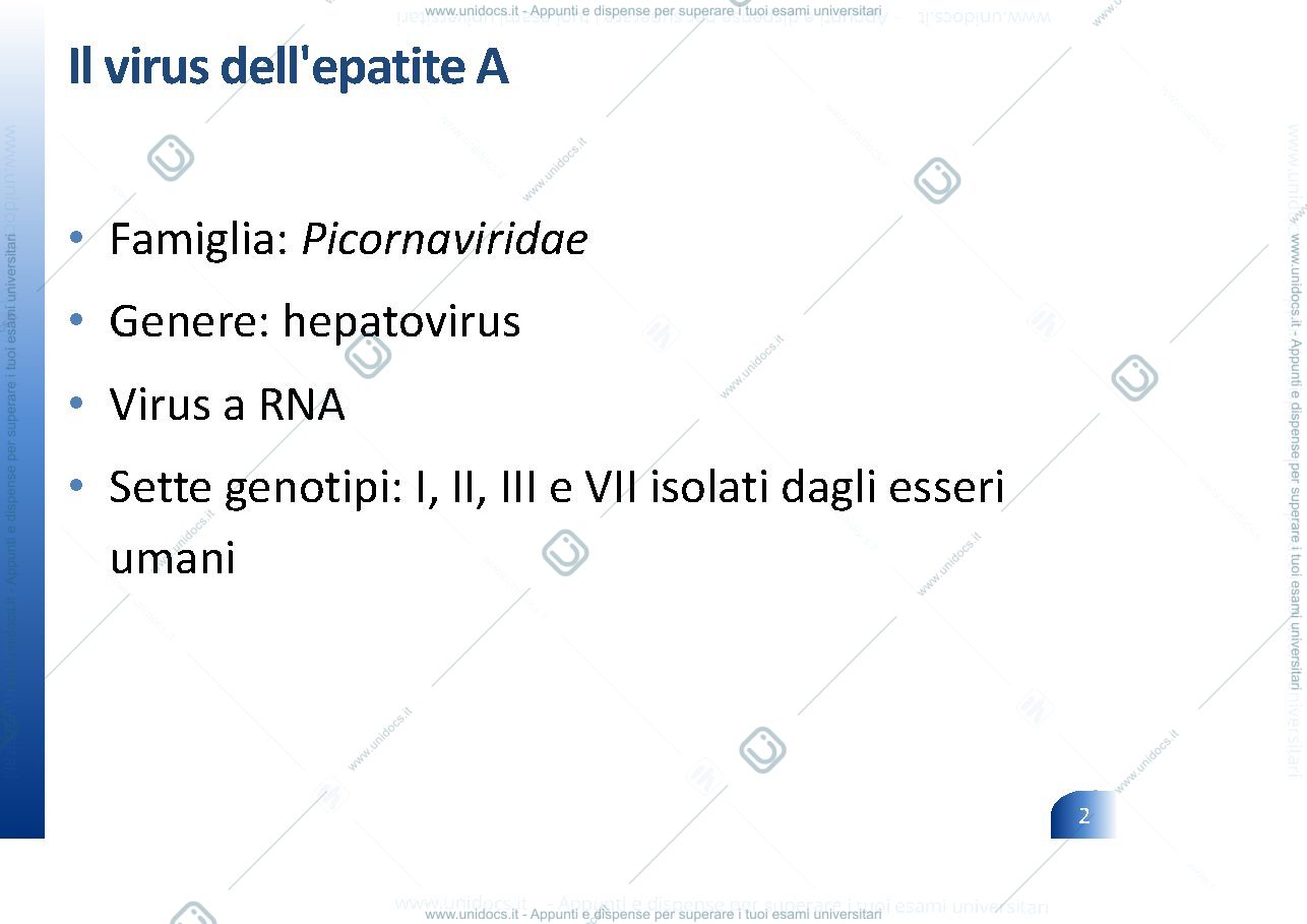 Anteprima pagina 2 — Igiene - Epatite A
