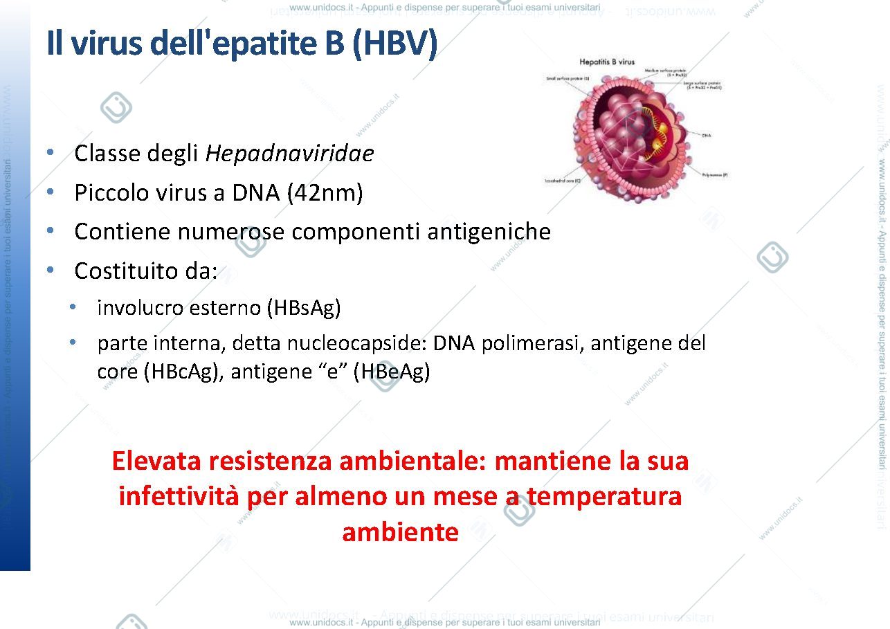 Anteprima pagina 2 — Igiene - Epatite B e C