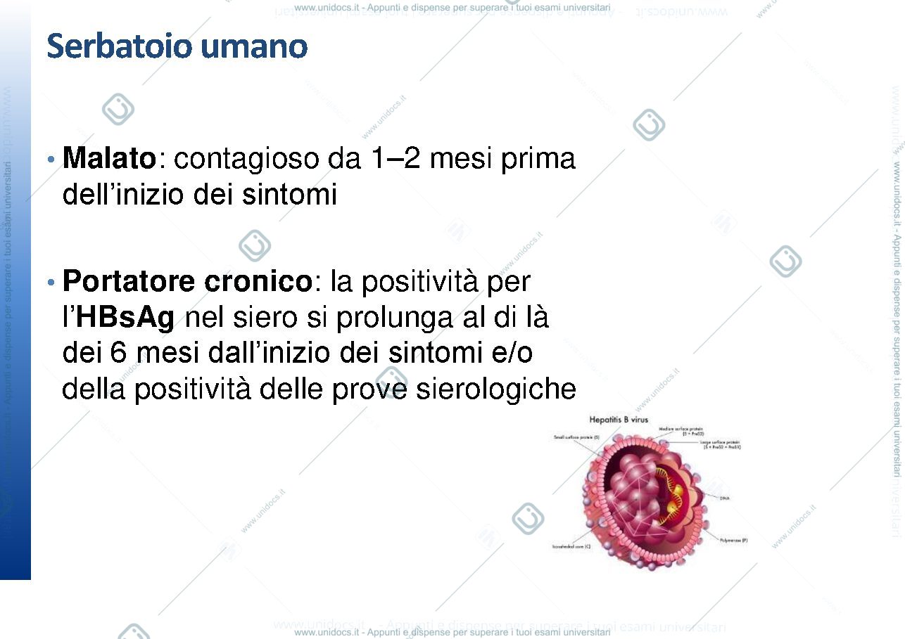 Anteprima pagina 3 — Igiene - Epatite B e C