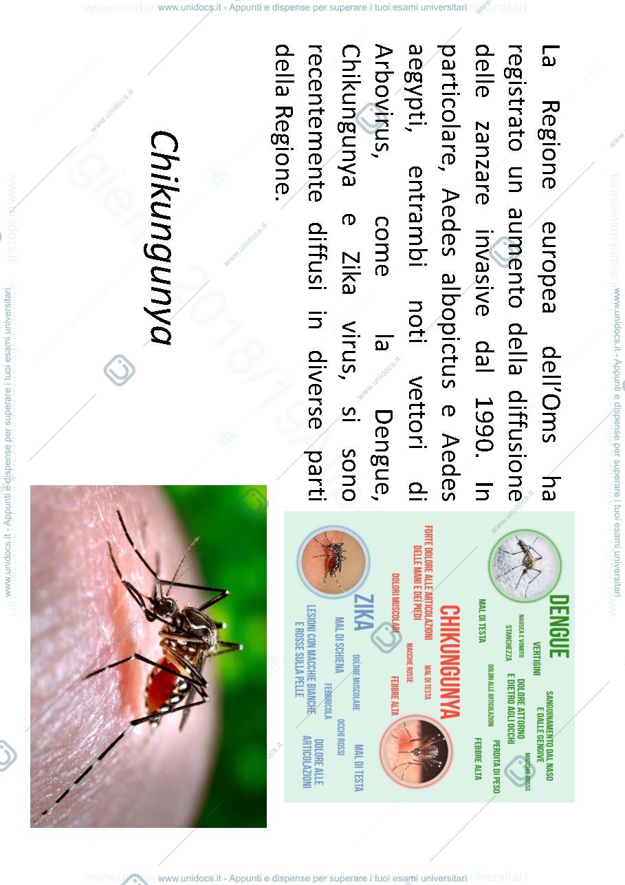 Anteprima pagina 1 — Slide