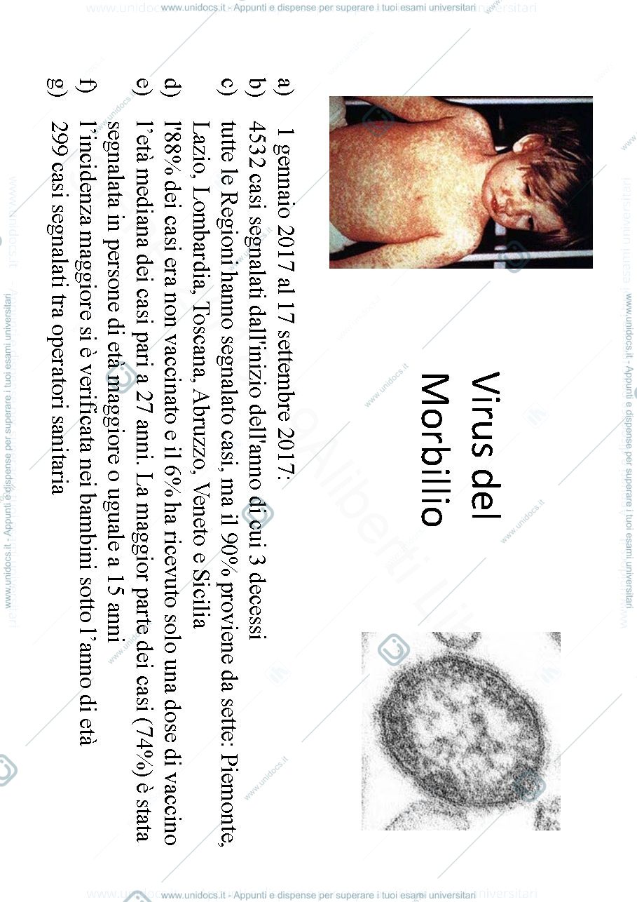 Anteprima pagina 2 — Slide