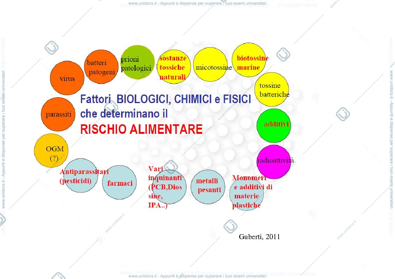 Anteprima pagina 3 — ALIMENTI