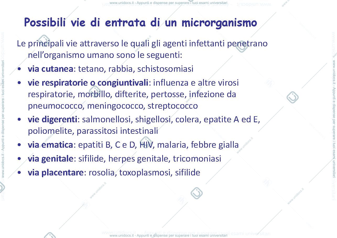 Anteprima pagina 3 — malattie infettive