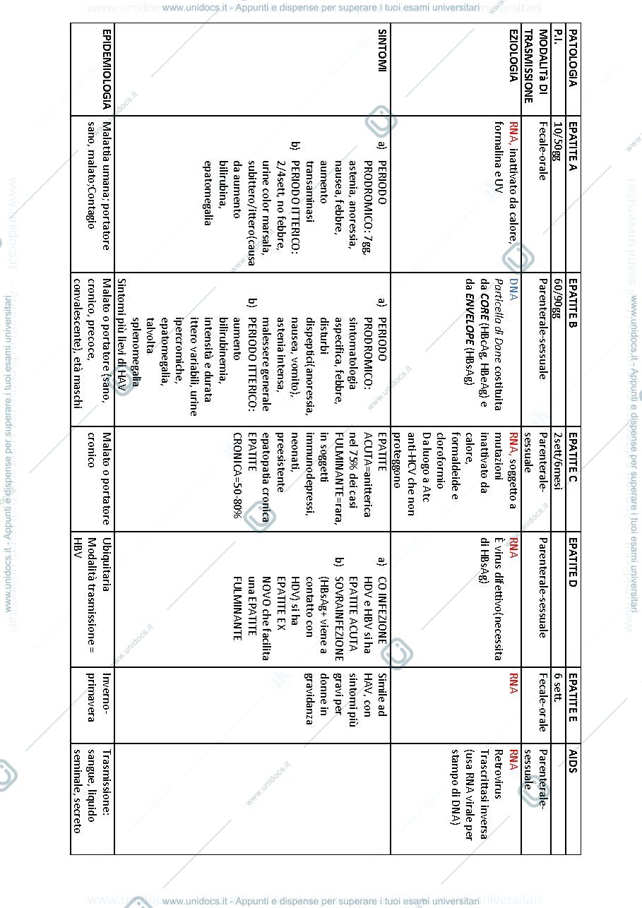 Anteprima pagina 1 — Schema Epatiti