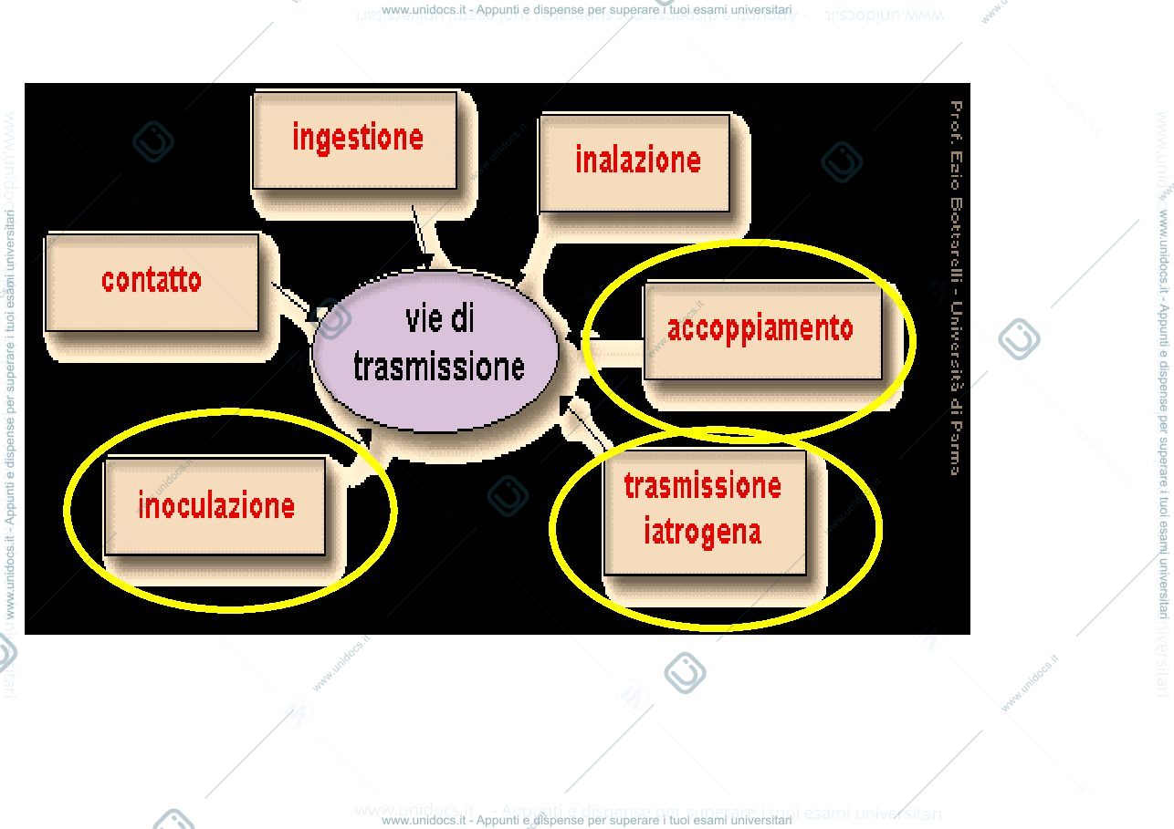 Anteprima pagina 3 — trasmissione per via parentale