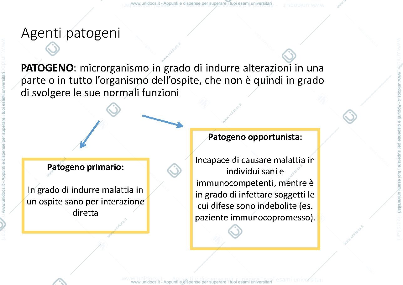 Anteprima pagina 3 — malattie infettive