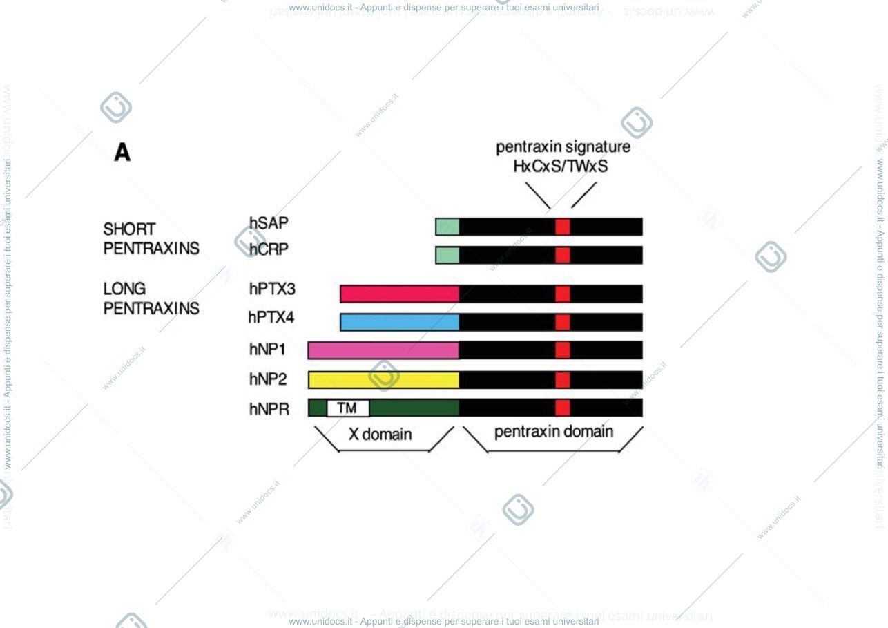 Anteprima pagina 3 — CRP