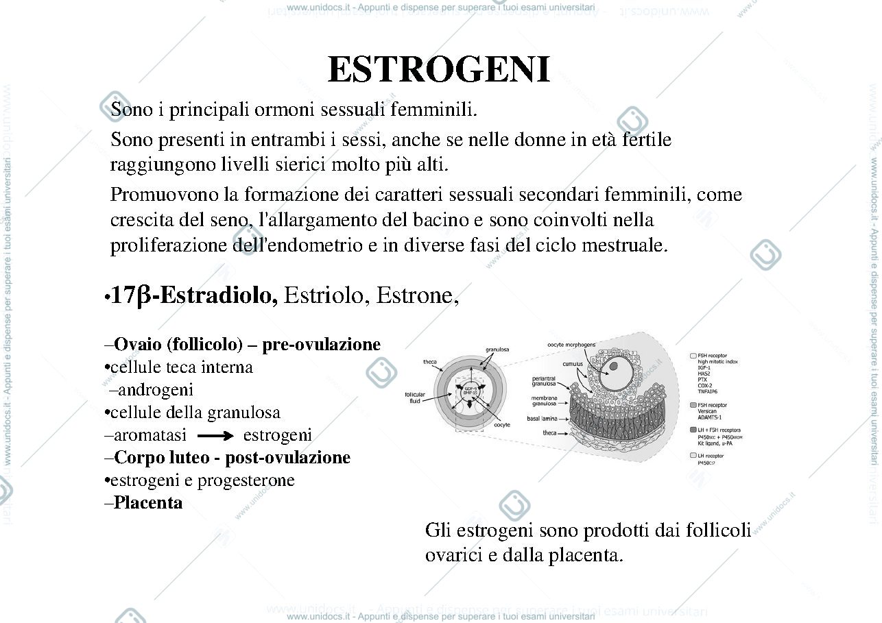 Anteprima pagina 4 — Estrogeni-progestinici