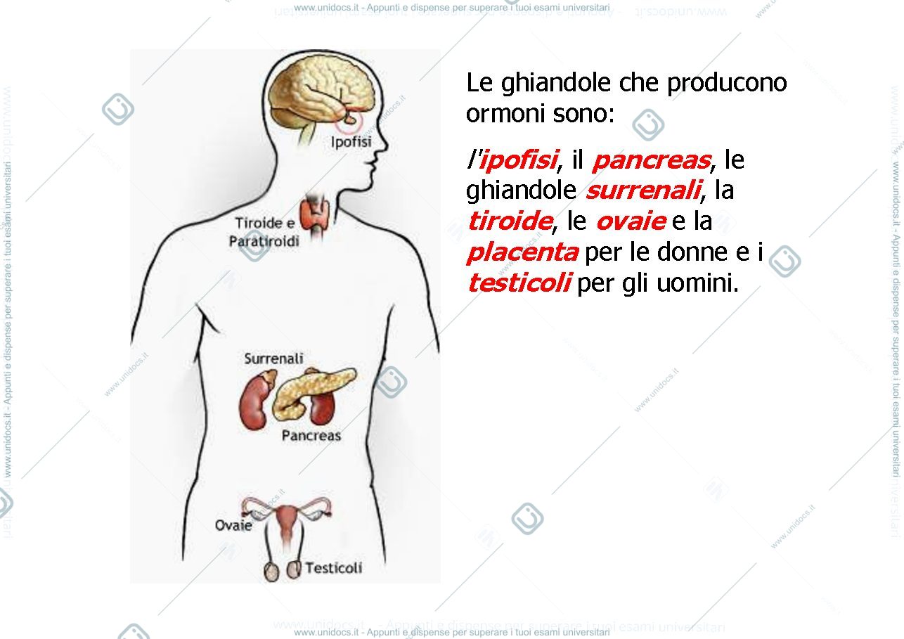 Anteprima pagina 2 — classificazione degli ormoni