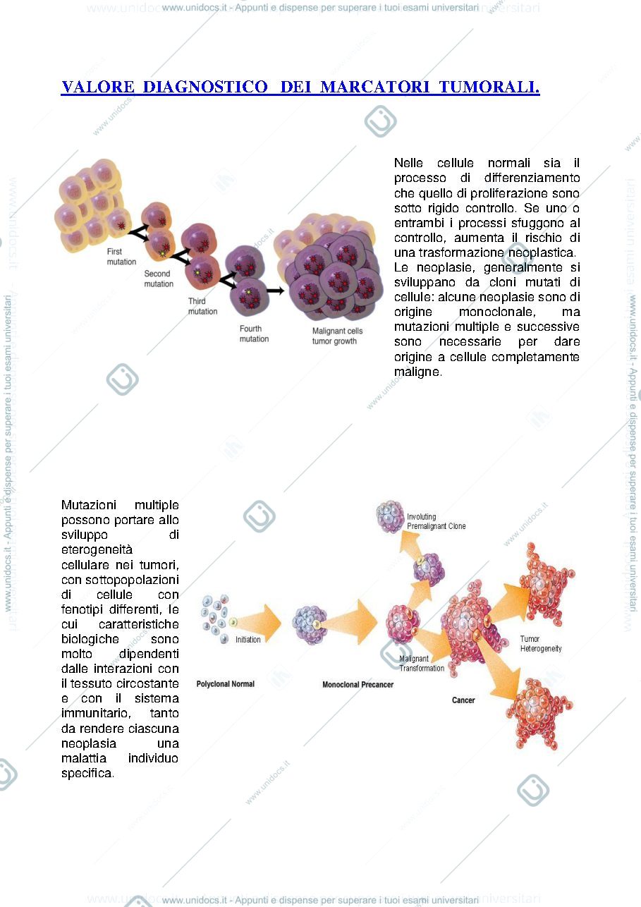Anteprima pagina 1 — VALORE DIAGNOSTICO DEI MARCATORI  TUMORALI