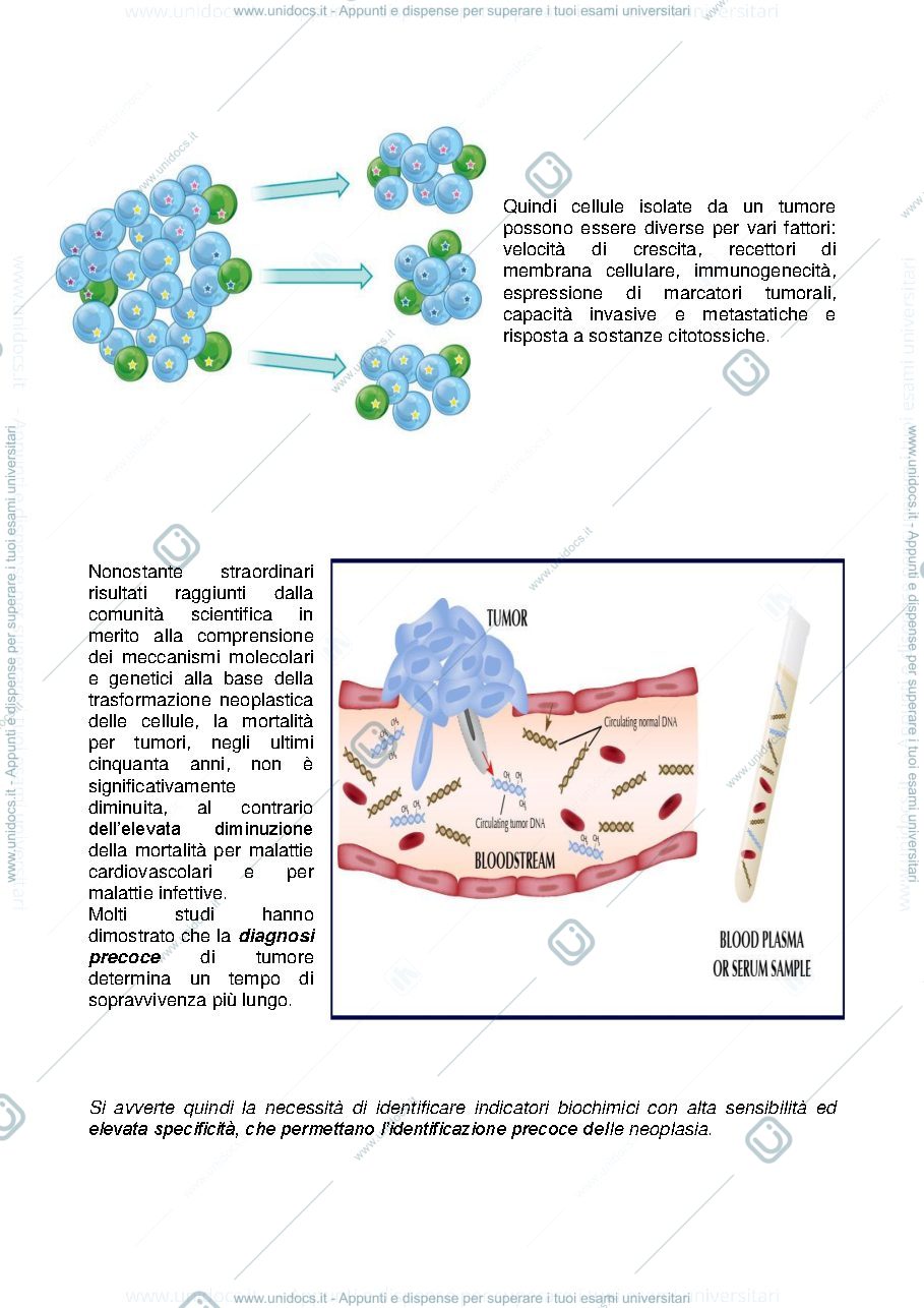 Anteprima pagina 2 — VALORE DIAGNOSTICO DEI MARCATORI  TUMORALI