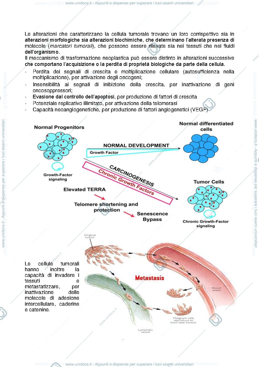Anteprima pagina 3 — VALORE DIAGNOSTICO DEI MARCATORI  TUMORALI