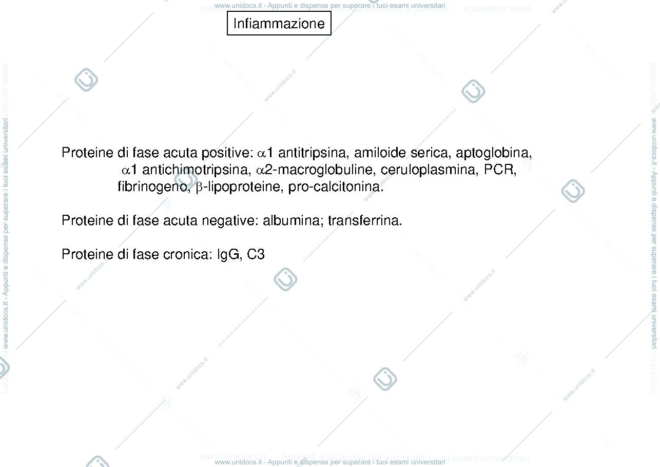 Anteprima pagina 1 — Immunopatologia 