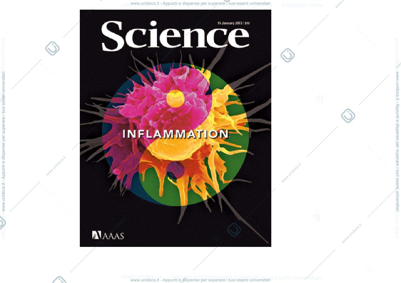 Anteprima pagina 3 — Immunopatologia 