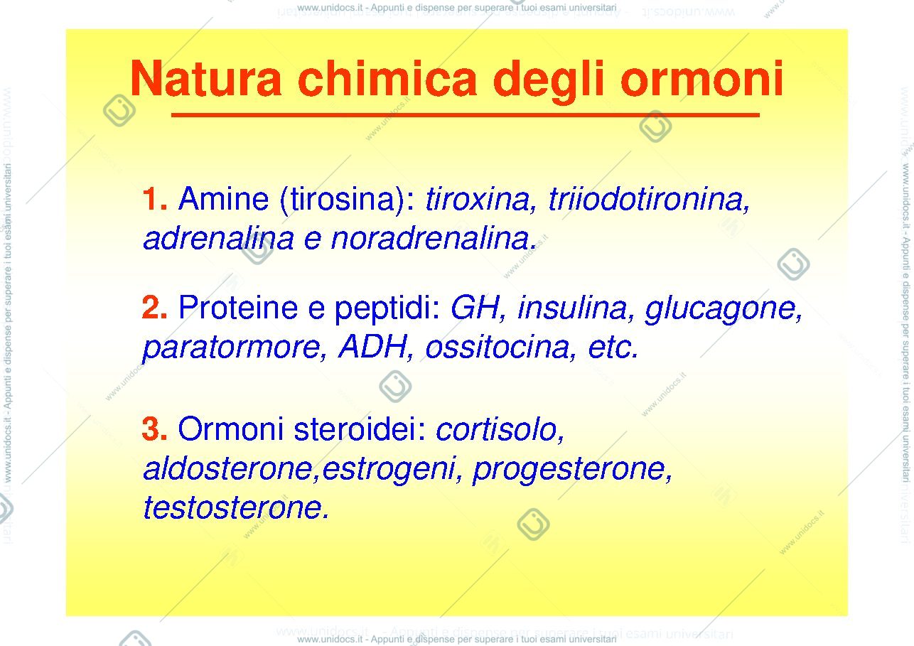 Anteprima pagina 2 — Il Sistema Endocrino