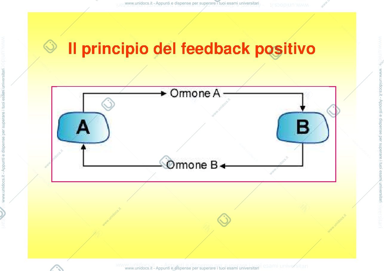 Anteprima pagina 5 — Il Sistema Endocrino
