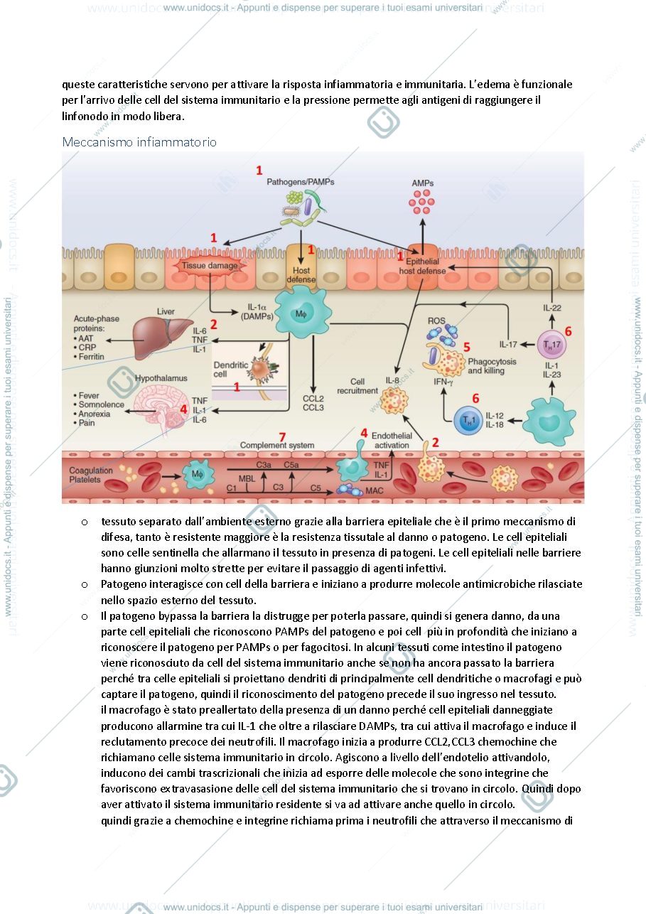 Anteprima pagina 4 — immunologia applicata