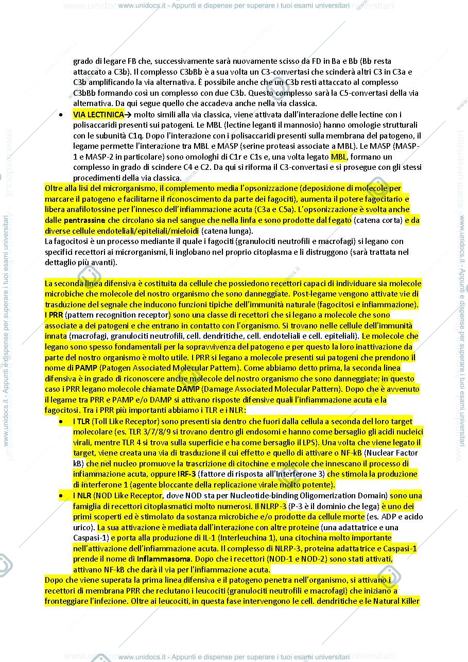 Anteprima pagina 3 — Immunologia e Patologia 