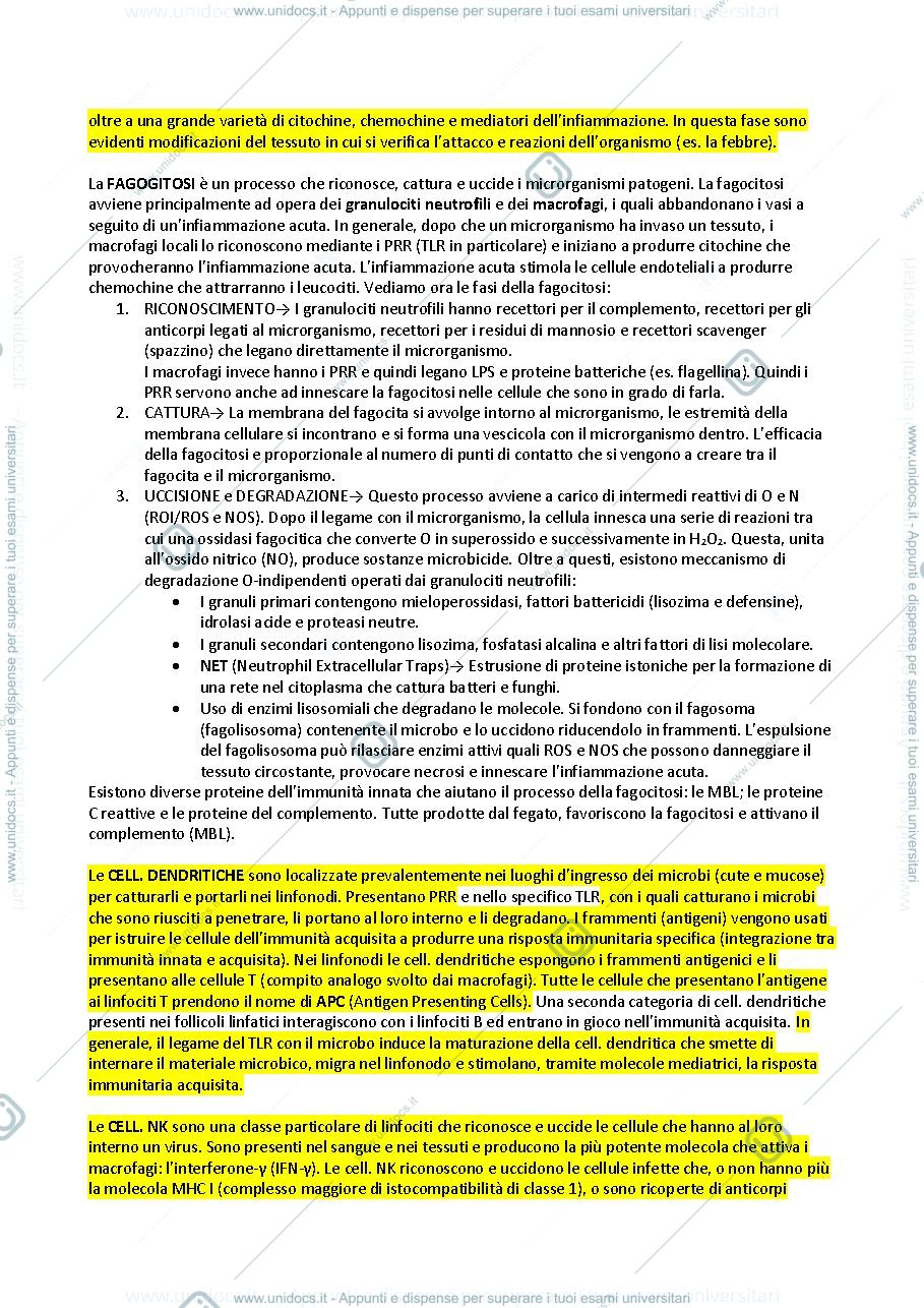 Anteprima pagina 4 — Immunologia e Patologia 