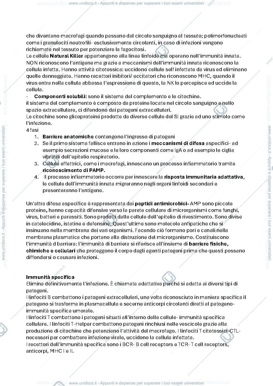 Anteprima pagina 2 — immunologia e immunopatologia