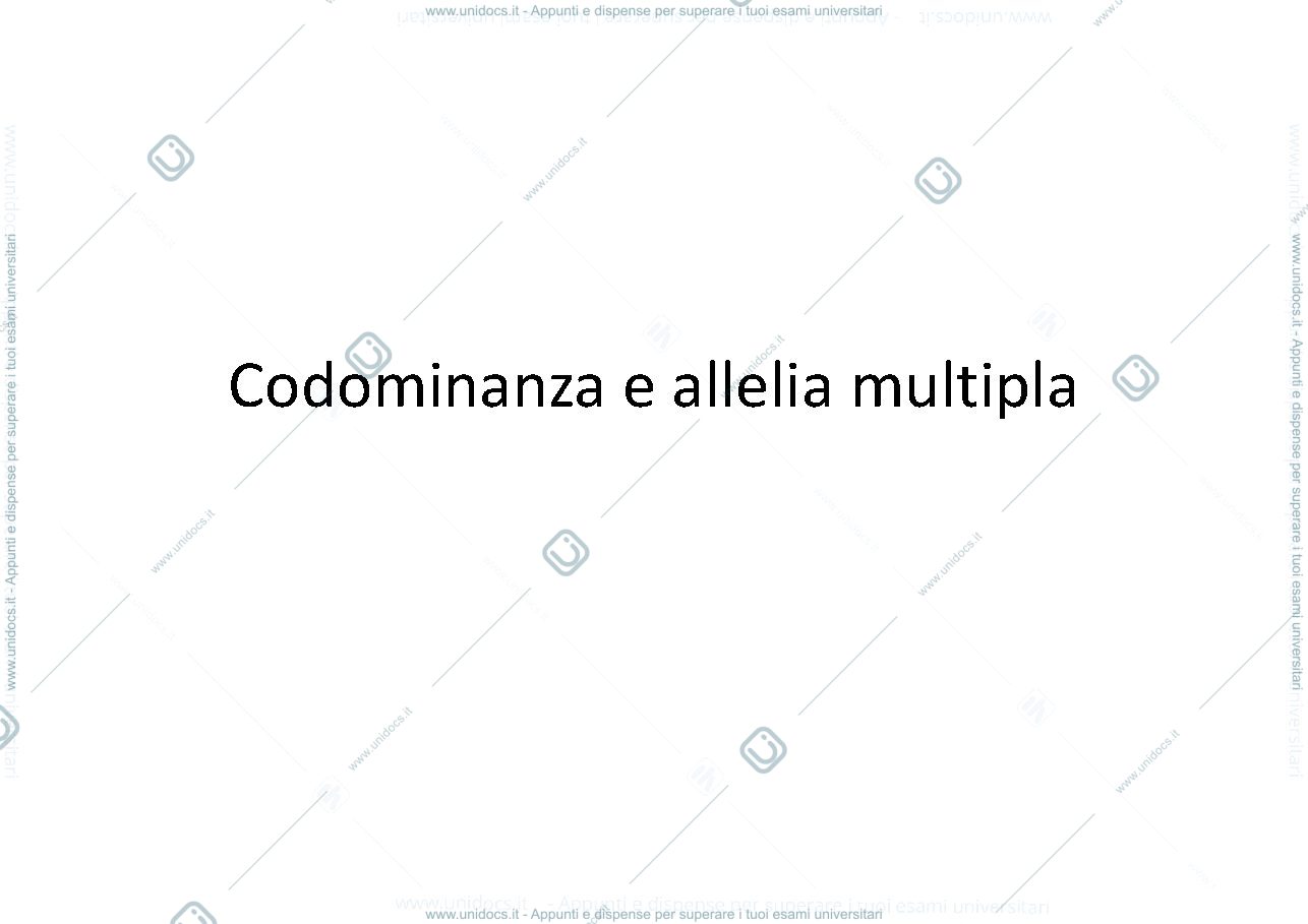 Anteprima pagina 1 — Sistema Ab0