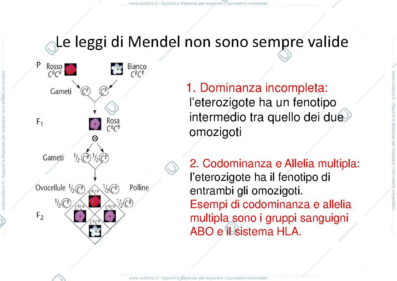 Anteprima pagina 2 — Sistema Ab0