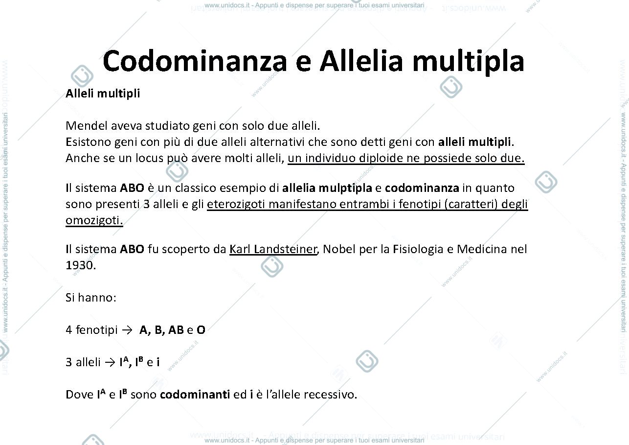 Anteprima pagina 3 — Sistema Ab0