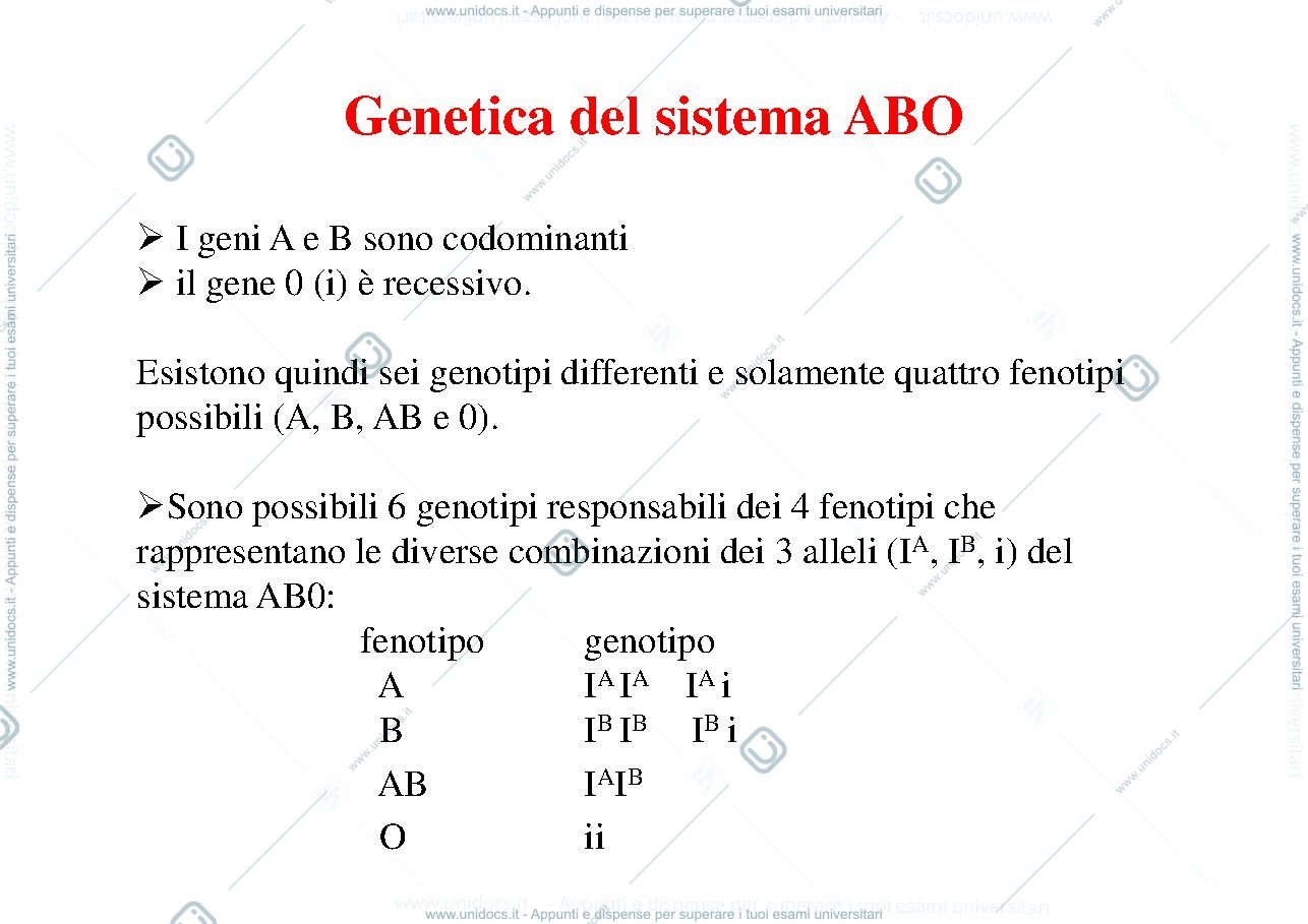 Anteprima pagina 4 — Sistema Ab0
