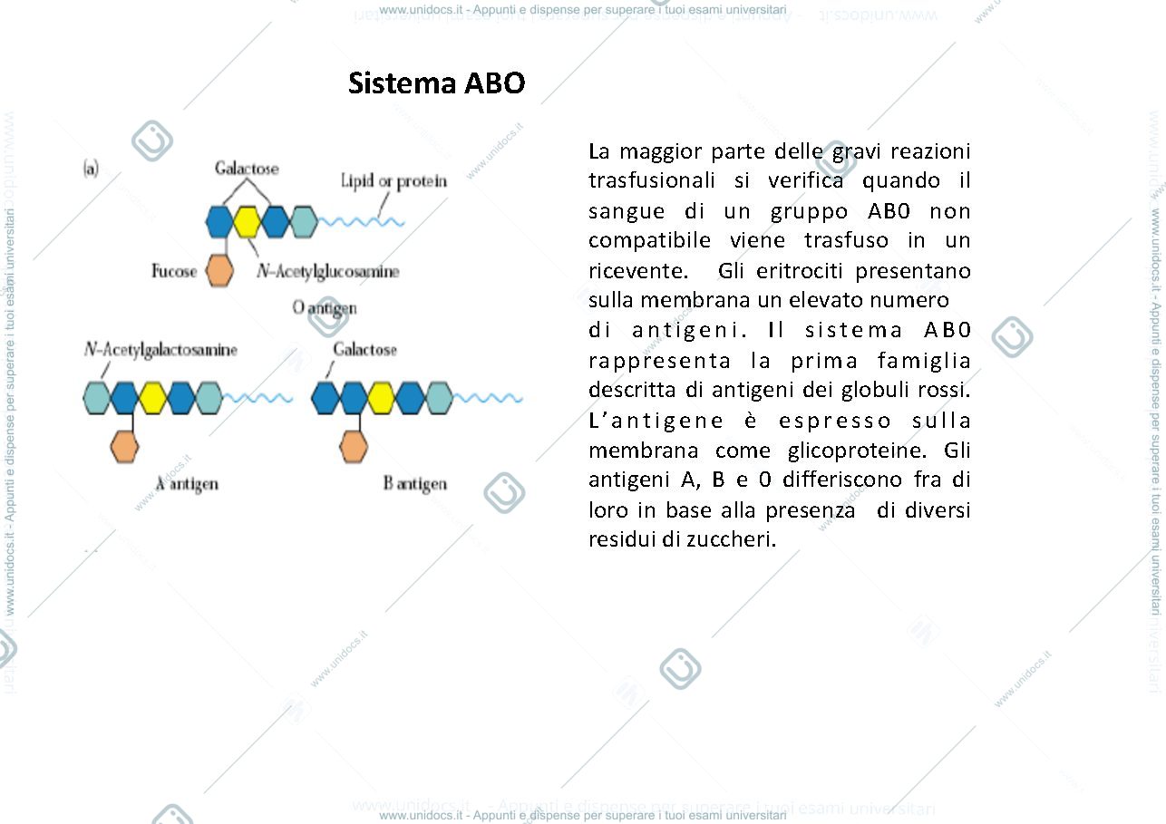 Anteprima pagina 2 — reazioni trasfusionali