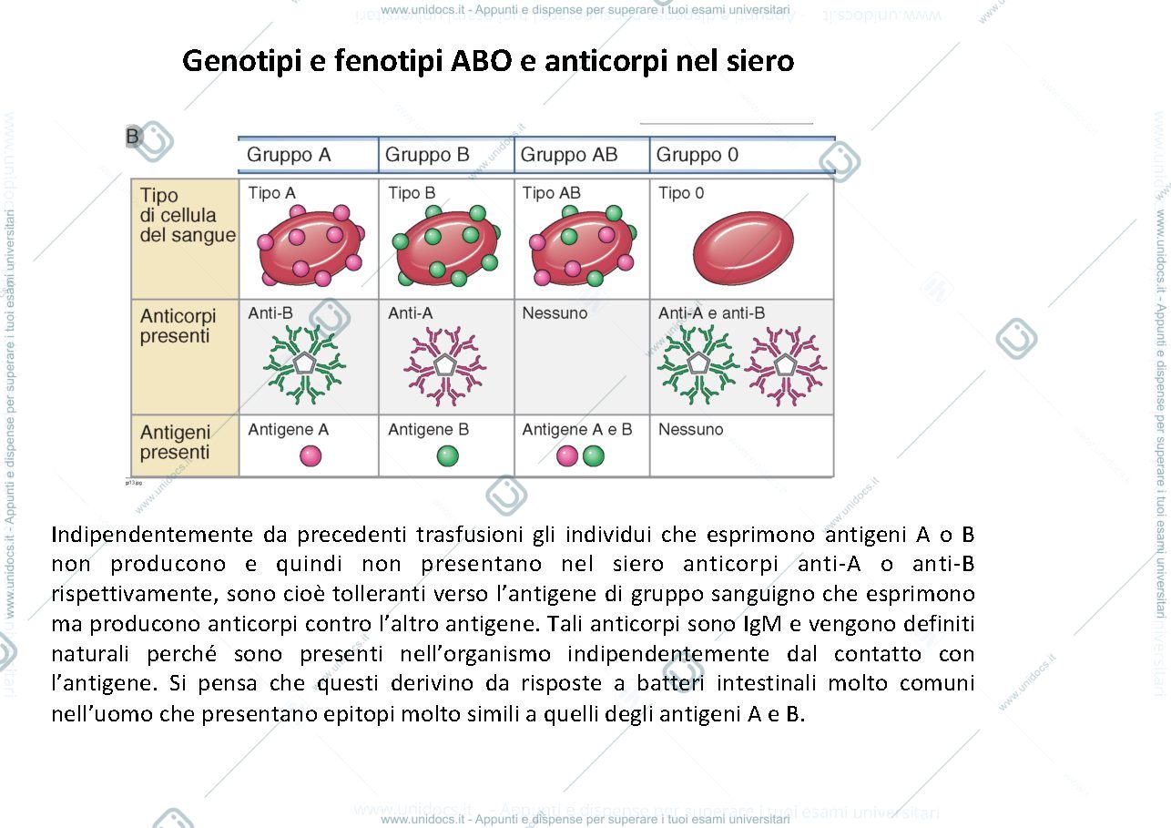 Anteprima pagina 4 — reazioni trasfusionali