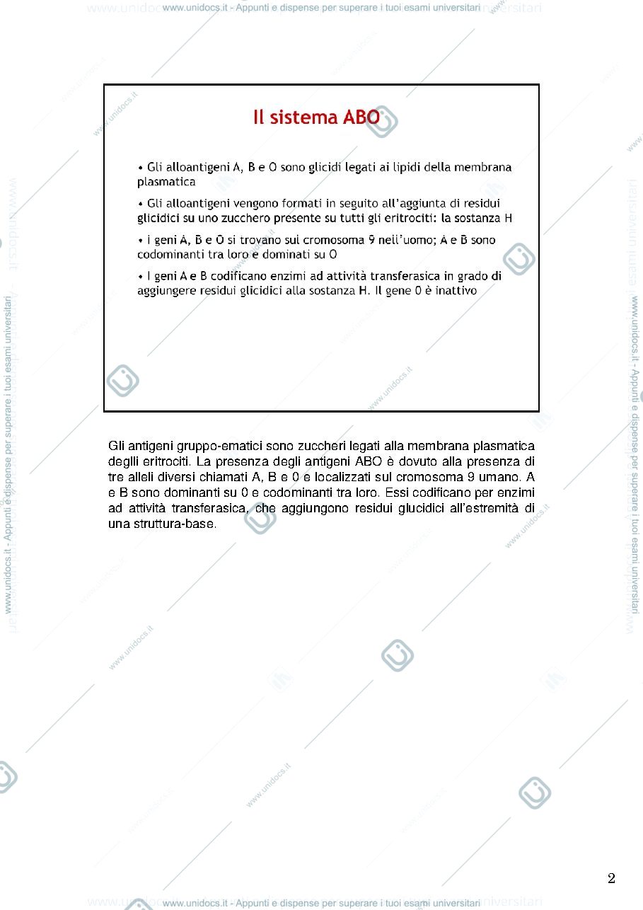 Anteprima pagina 2 — Sistema Ab0