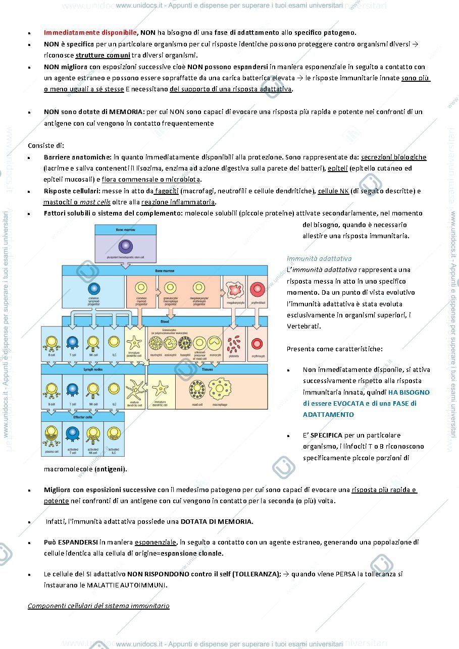 Anteprima pagina 2 — Appunti di Immunologia Medica