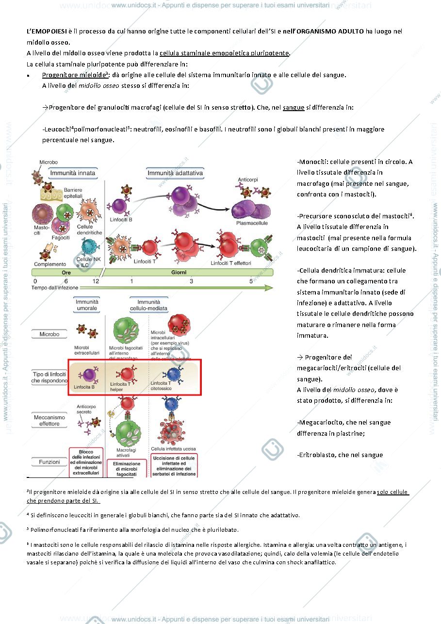 Anteprima pagina 3 — Appunti di Immunologia Medica