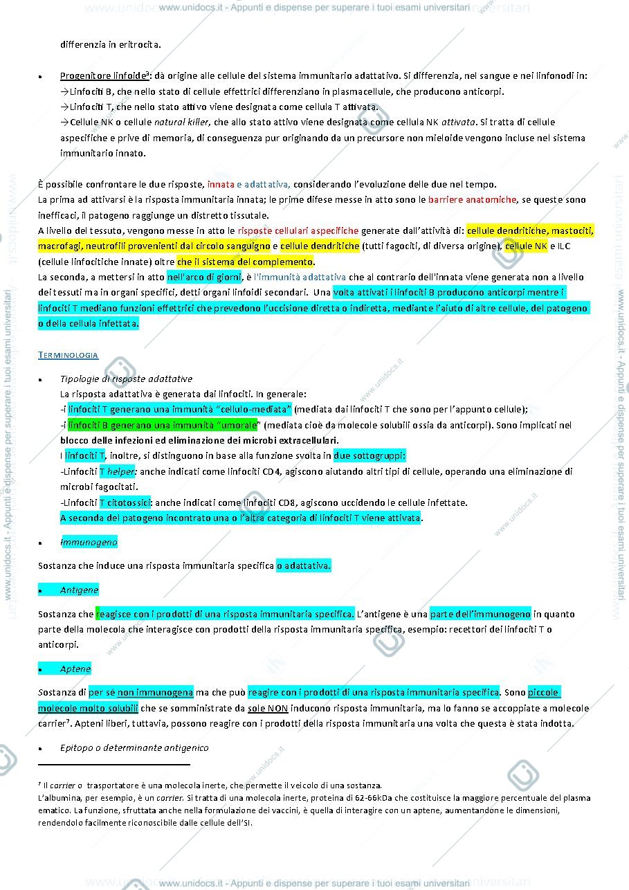 Anteprima pagina 4 — Appunti di Immunologia Medica