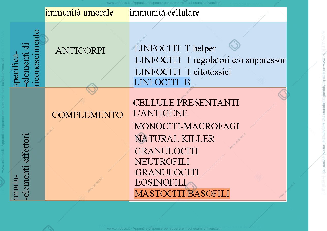 Anteprima pagina 2 — antigeni e adiuvanti