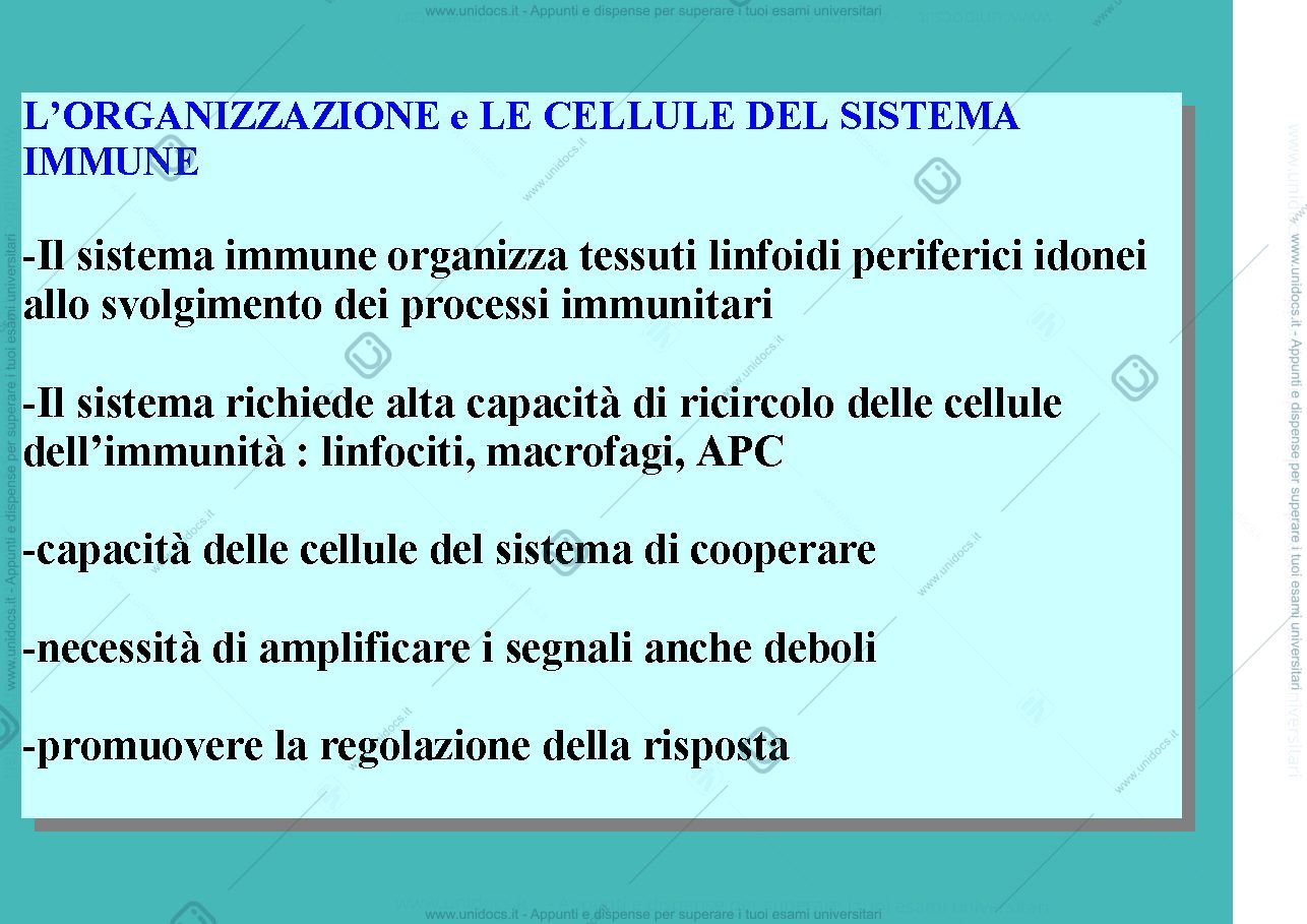 Anteprima pagina 1 — cellule dell'Immunità