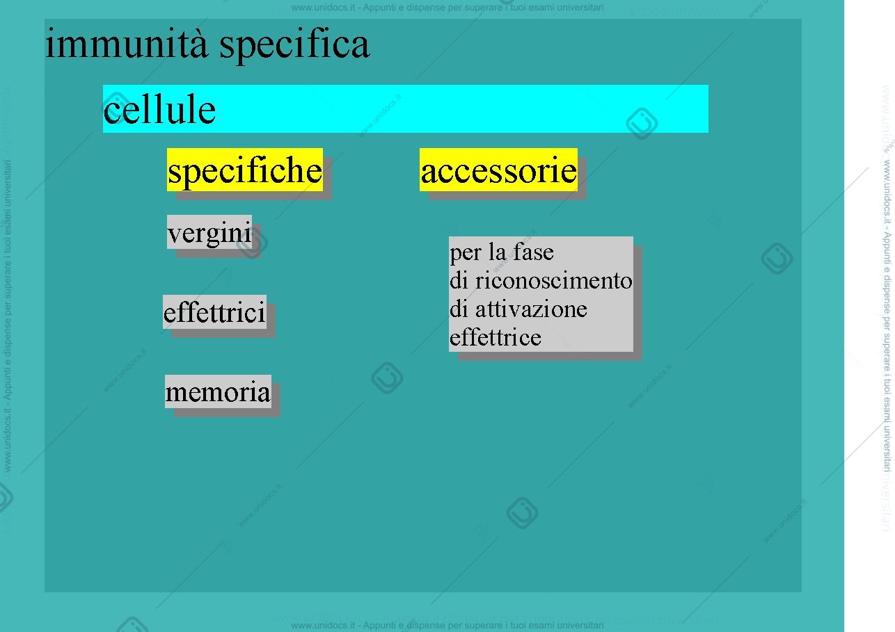 Anteprima pagina 2 — cellule dell'Immunità