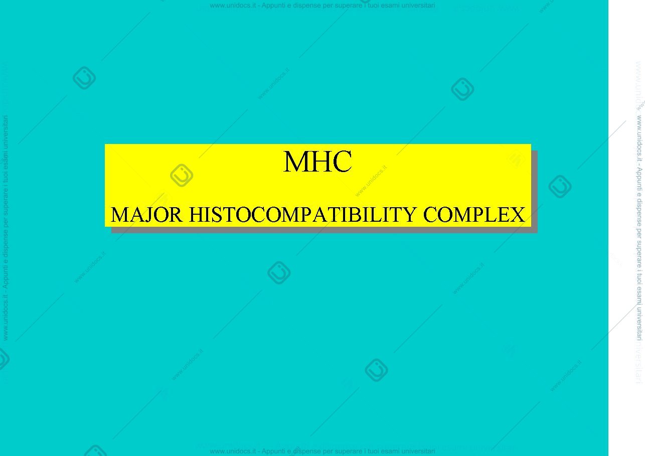 Anteprima pagina 1 — MHC