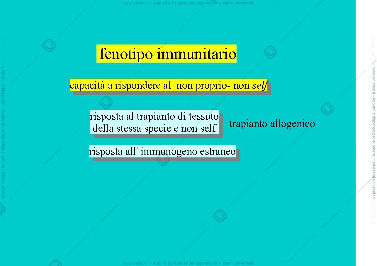 Anteprima pagina 2 — MHC