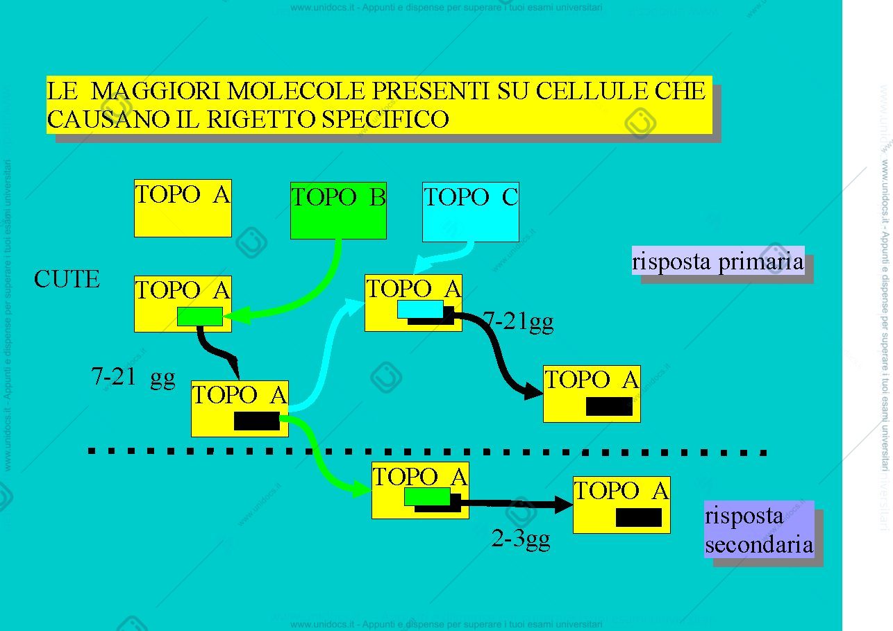 Anteprima pagina 3 — MHC