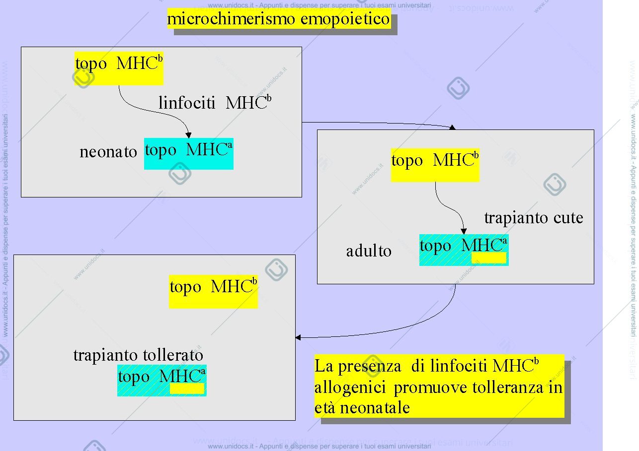 Anteprima pagina 3 — Tolleranza