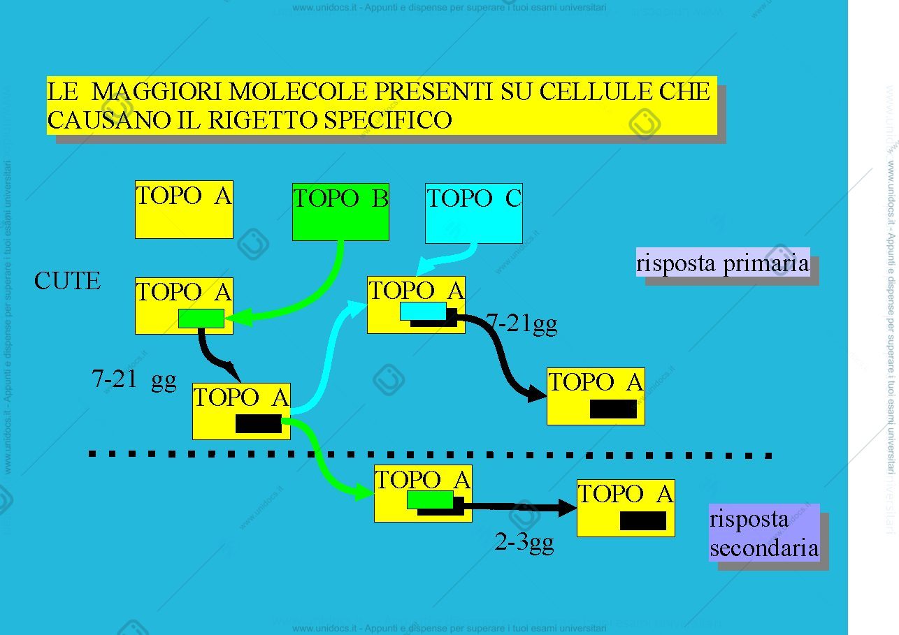 Anteprima pagina 1 — TCR e diversità