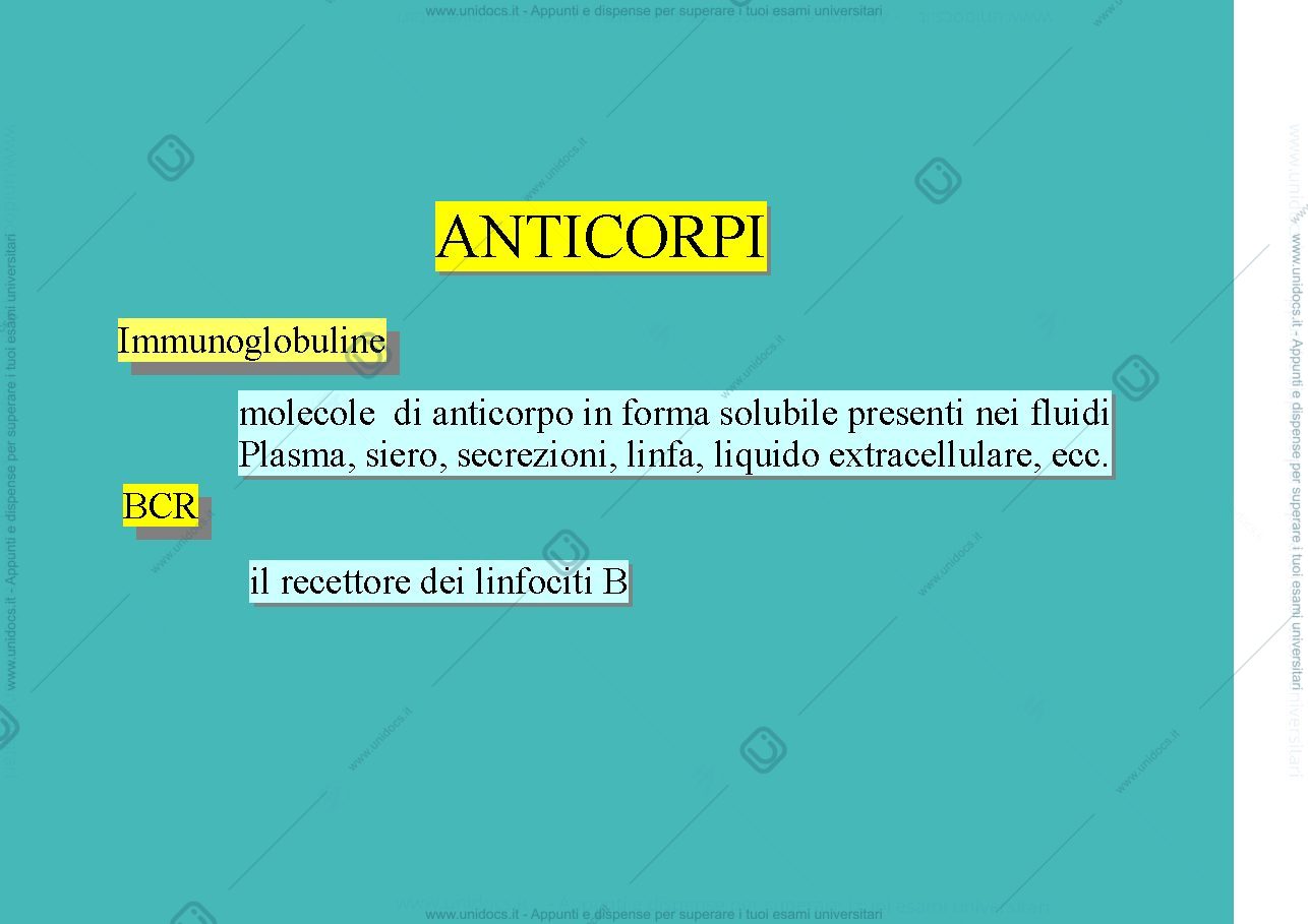 Anteprima pagina 2 — Anticorpi