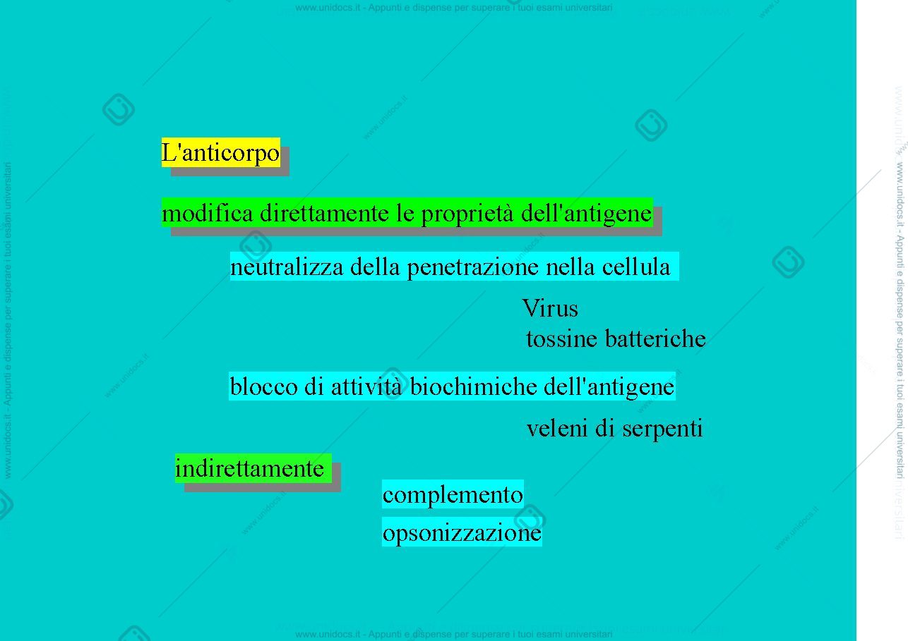 Anteprima pagina 1 — Reazioni effetrici