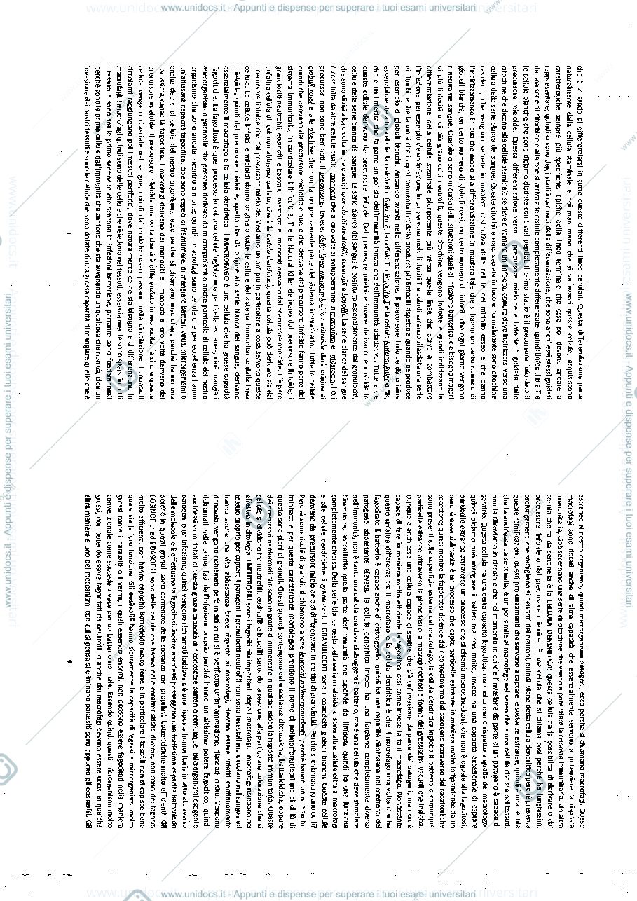 Anteprima pagina 2 — immunologia